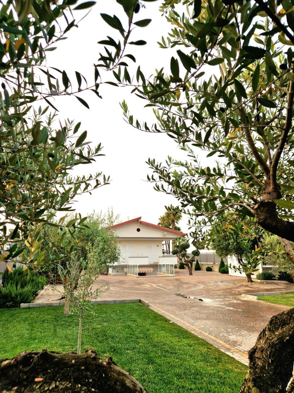Corte D'Aniello Scafati Zewnętrze zdjęcie